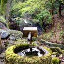 샘물다방 이미지