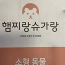 햄찌랑슈가랑 네이버블로그