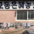 대룡 이미지
