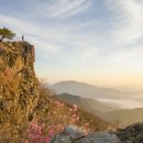 싱그러운청도로(가을) 이미지