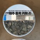 겨울 제주 동쪽 여행 구좌읍 평대리 해변 근처 카페 세화 소품 카페리