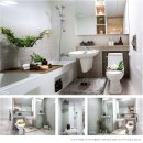 금성백조 예미지 이미지