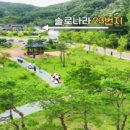 영호공원 - 영덕군 축산항길 13 | 영호공원