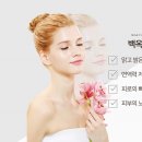 백옥 이미지