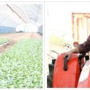 김문태농장 이미지