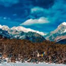 산 카카오 검색결과