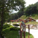 산삼자연휴양림(함양) 이미지