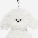 퍼피테일 이미지