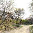 일자산자연공원(허브천문공원) 이미지