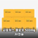 여성건강케어샵 | 피토틱스 옐로우로 시작하는 여성 건강 케어 가성비 끝판왕 후기