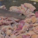 안영농장 이미지