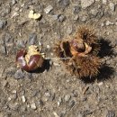 찬우물로 | 몸과 마음이 든든해지는 하루 — 찬우물농원 방문 후기 &amp; 메뉴 안내