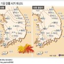 ＜＜시간변경＞＞11월 12일(화) 07:30출발, 전남 장성 내장산국립공원內 백양산 단풍산행 이미지