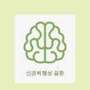 젠디앤디