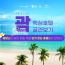 롯데관광평촌 네이버블로그