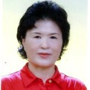 현대농약사 이미지