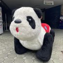 온양얼음미미화원 | [일본에서 제일 오래된 유원지 / 일본 귀신의 집 랭킹 3위 ] 아사쿠사 하나야시키