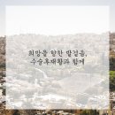 기분좋은한방병원 이미지