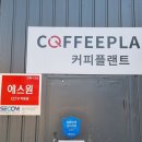힐더인섹트
