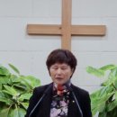 양점순 이미지