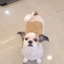머즐