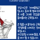 준피티샵 이미지