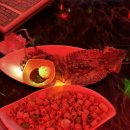 예진노래연습장 이미지