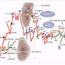 번개 대마도 여행지도 이미지
