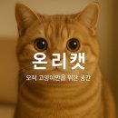 온리동물병원 | [공지] 온리캣 – 오직 고양이만을 위한 공간