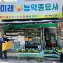 대명종묘사 이미지