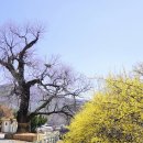 화천3리 경로당 이미지