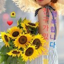 스마트팜의 미래 이미지