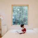 스테이다정 이미지