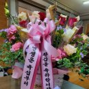 세실플라워 이미지