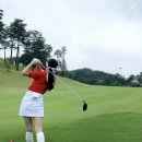 오션스크린골프클럽 Daum카페