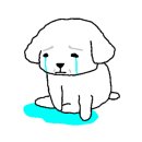 건우공인중개사사무소 이미지