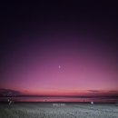 네일마당 | 꾸따 네일아트 추천 ｜ Nails &amp; Hair Salon by Shinelutfie 패디큐어 솔직 후기 + 코코넛 쉐이크 맛집