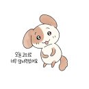 아시아 마트 | 대전 훠궈 재료 쇼핑 가능한 곳, 궁동 아시아 마트 방문 후기 🛒