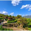 설리마을2 이미지