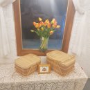 제주도화 이미지