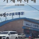 지아네멍멍애견샵 이미지