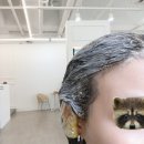 Hair Winsome