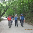 "시산회 164회 고창 '선운산'과 장성 '축령산 치유의 숲' 산행기"＜2011.07.23(토)~07.24(일)＞ / 김정남 이미지