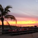 돌고래리조트 이미지