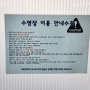 도노 | 제주도 펜션 추천 : 재미있게 놀다 간 서귀포 도로인제주남원 풀빌라 1박 후기