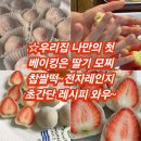 스타트하우스 제과점