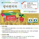 황토참손