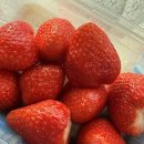 빌라 퍼즈 | 가평 필라퍼즈 풀빌라 추천, 내돈내산 후기 ; 비수기 왕추천 + 쁘띠빠리 가평맛집