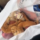 인형의 거리(개) 이미지