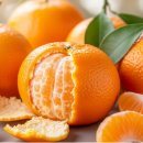 우아한과일 이미지